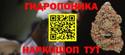 эйфоретик Малгобек