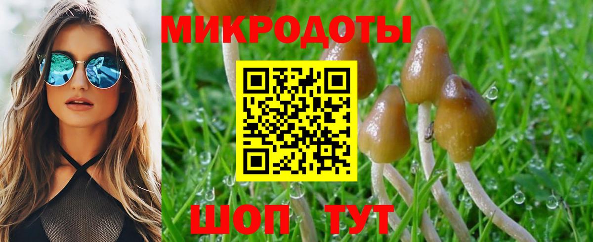 Галлюциногенные грибы Cubensis  Вход с VPN  купить  сайты  Чернушка 